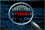 computer virus